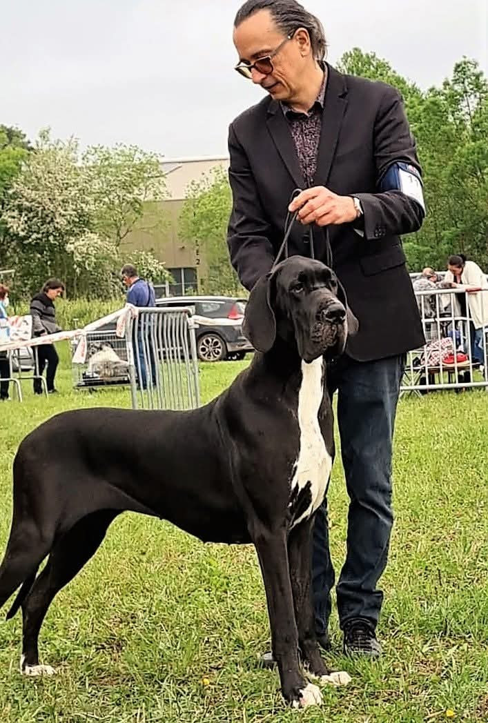 Sidji Du Haut Dagour