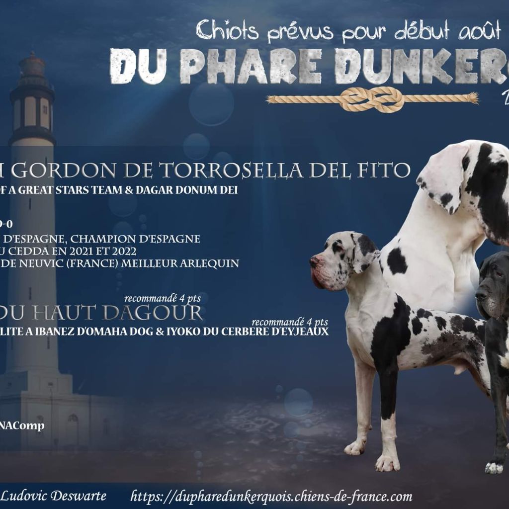 Du Phare Dunkerquois - Mariage France Espagnol 